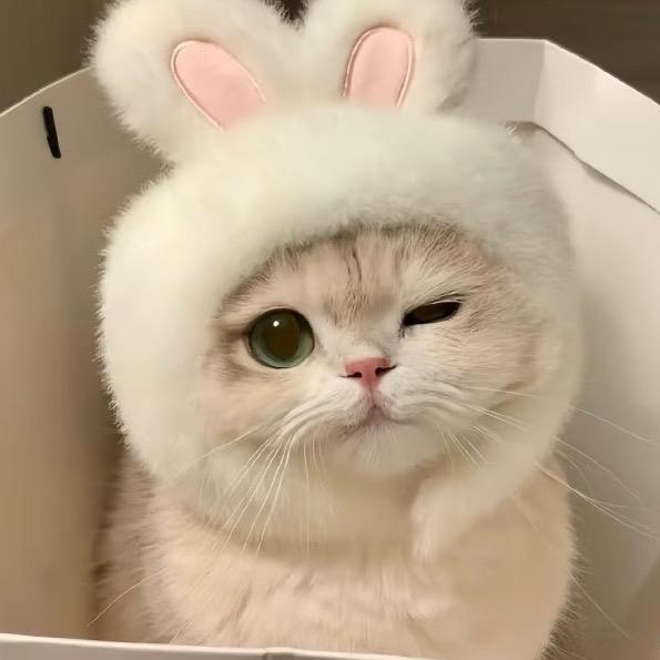 苏婧瑶