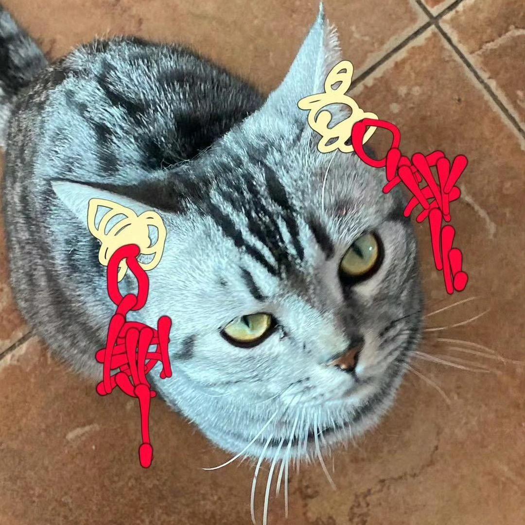七折Qzwz
