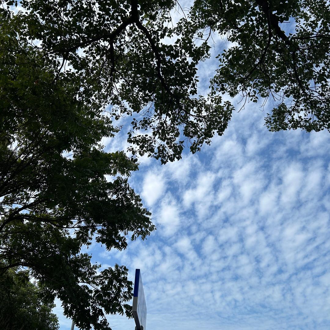 枝江市曲申商贸有限公司直播号