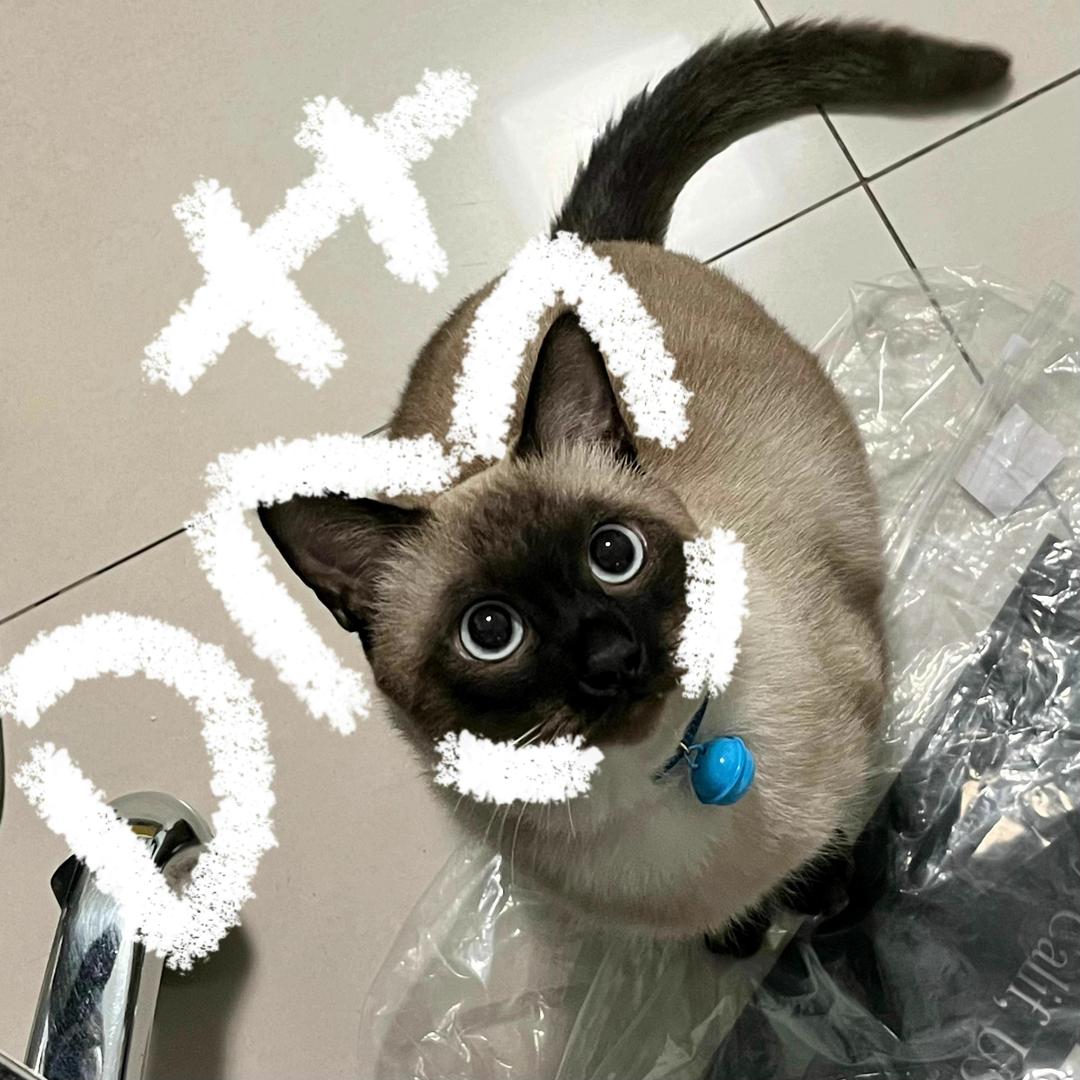 𝕵𝖔𝖐𝖊𝖗