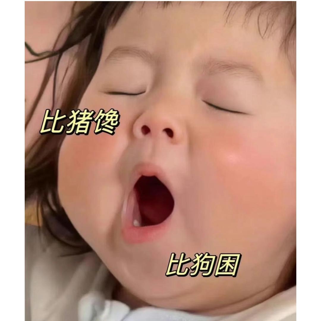 山月不归