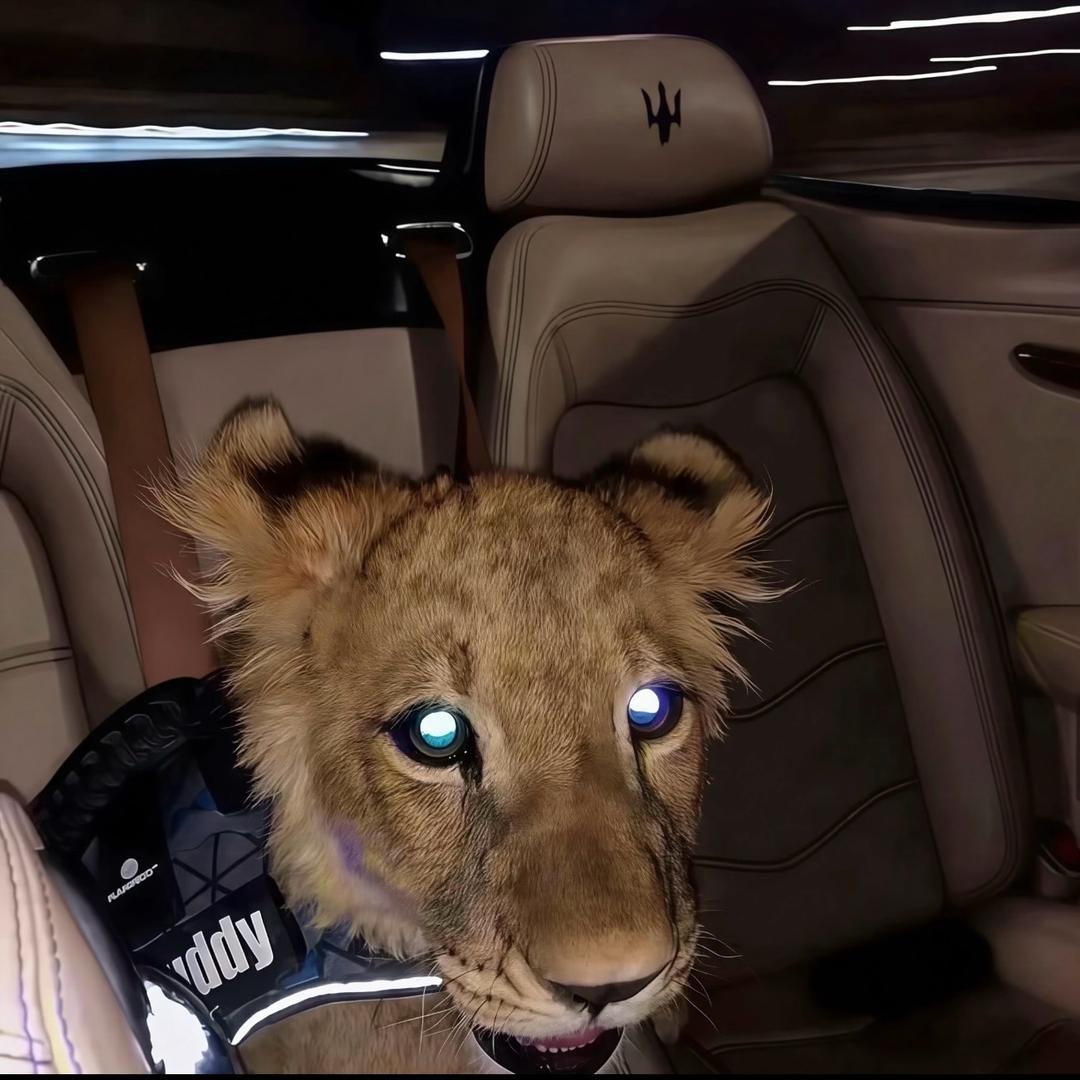 Sss（见过蔡徐坤版）