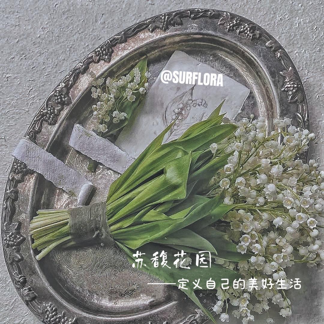 SUR.FLORA