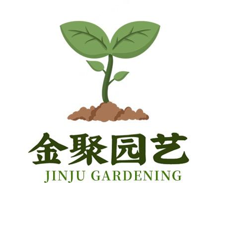 熙霖家苗木金聚专卖店