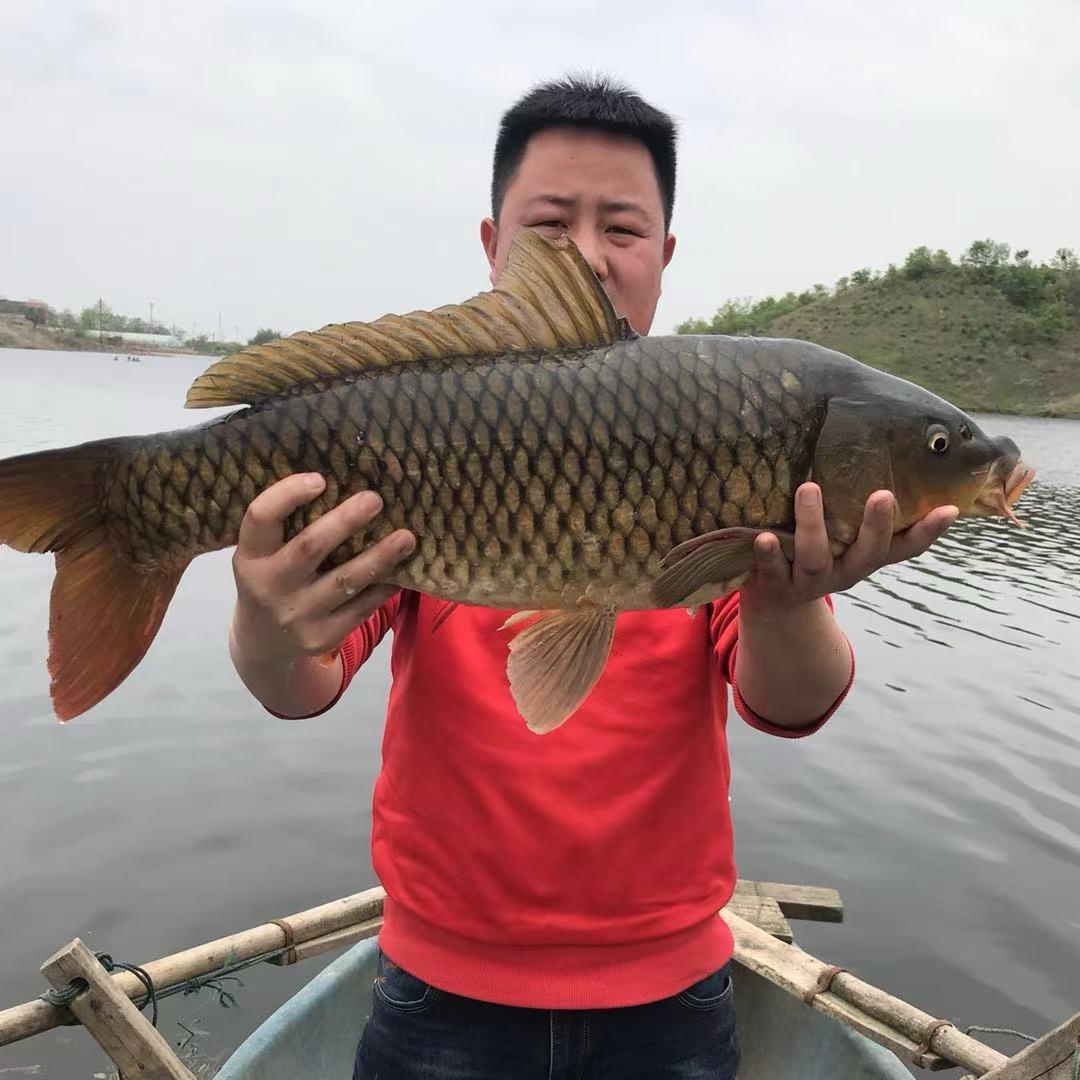 小周回农村