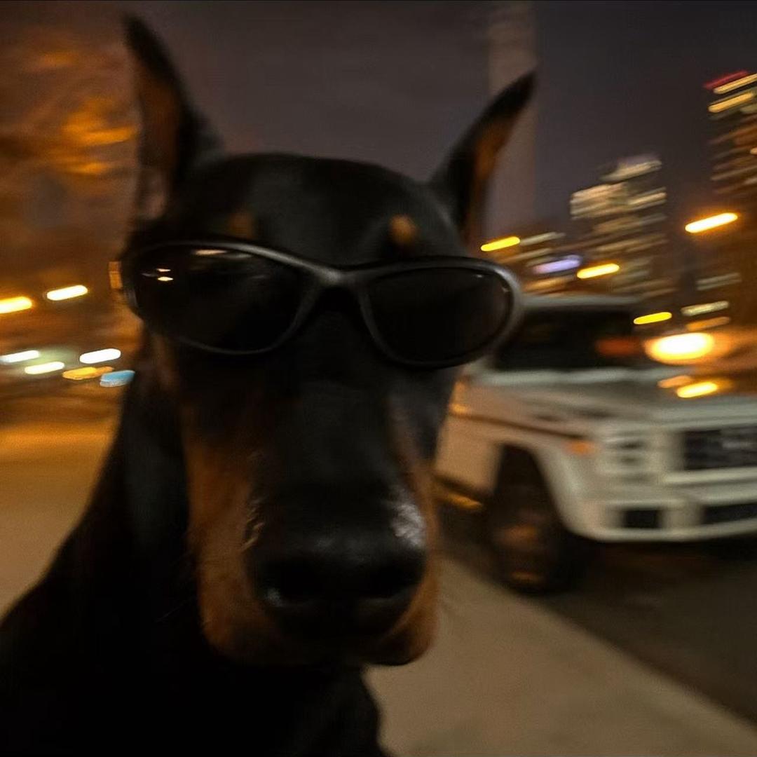 海Boss.❕