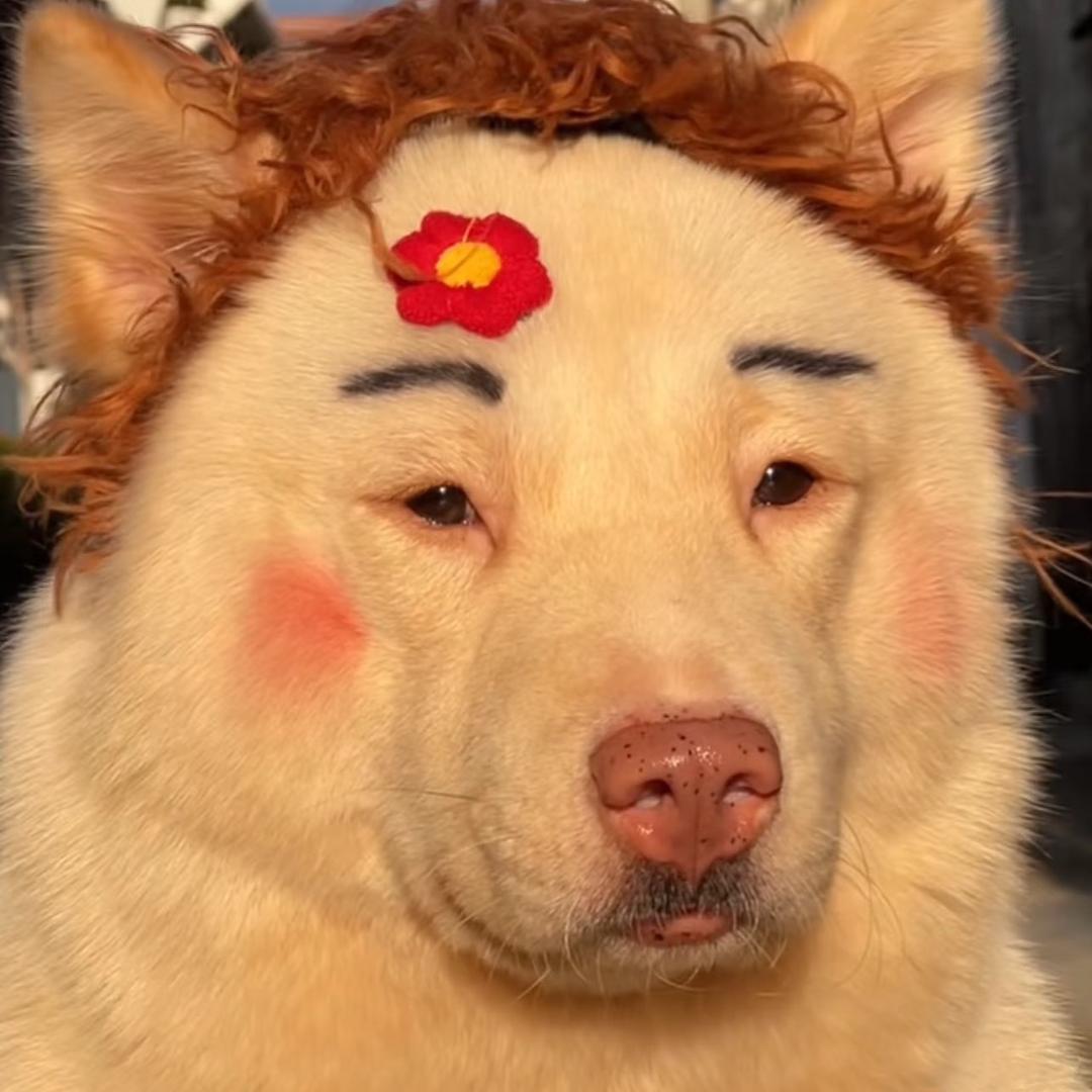 二狗