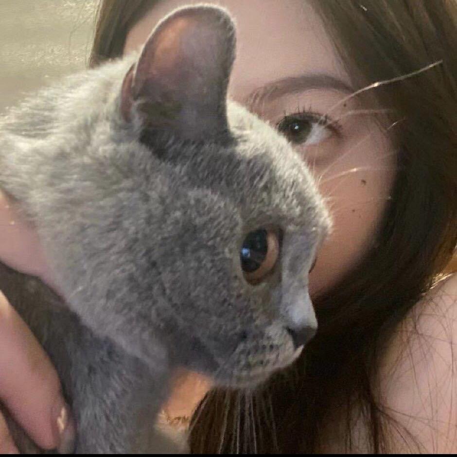 漳州三星装饰｜汤小汤