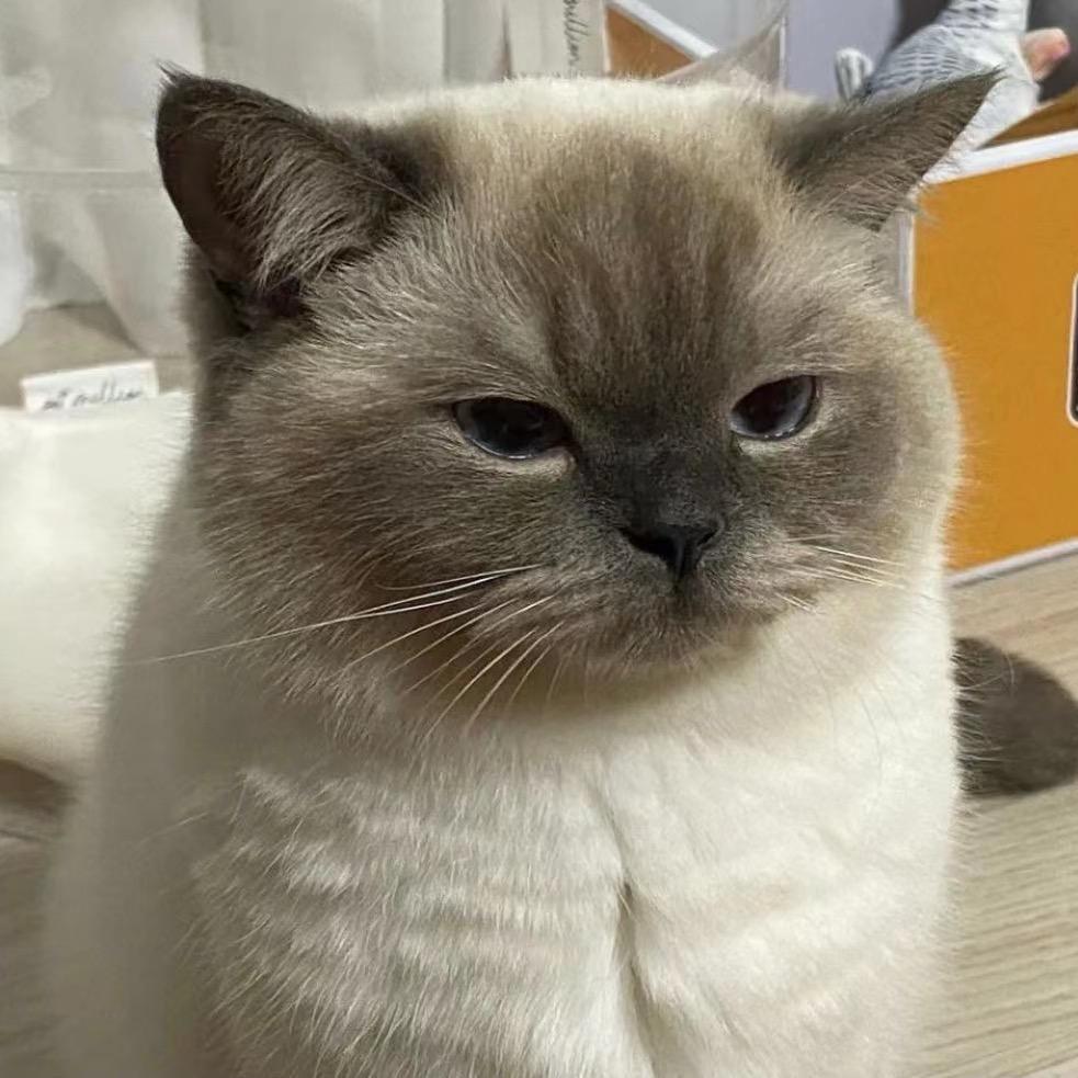 谎言