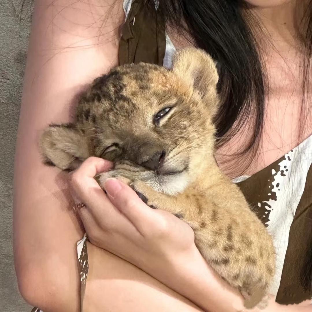 小羊也🐑
