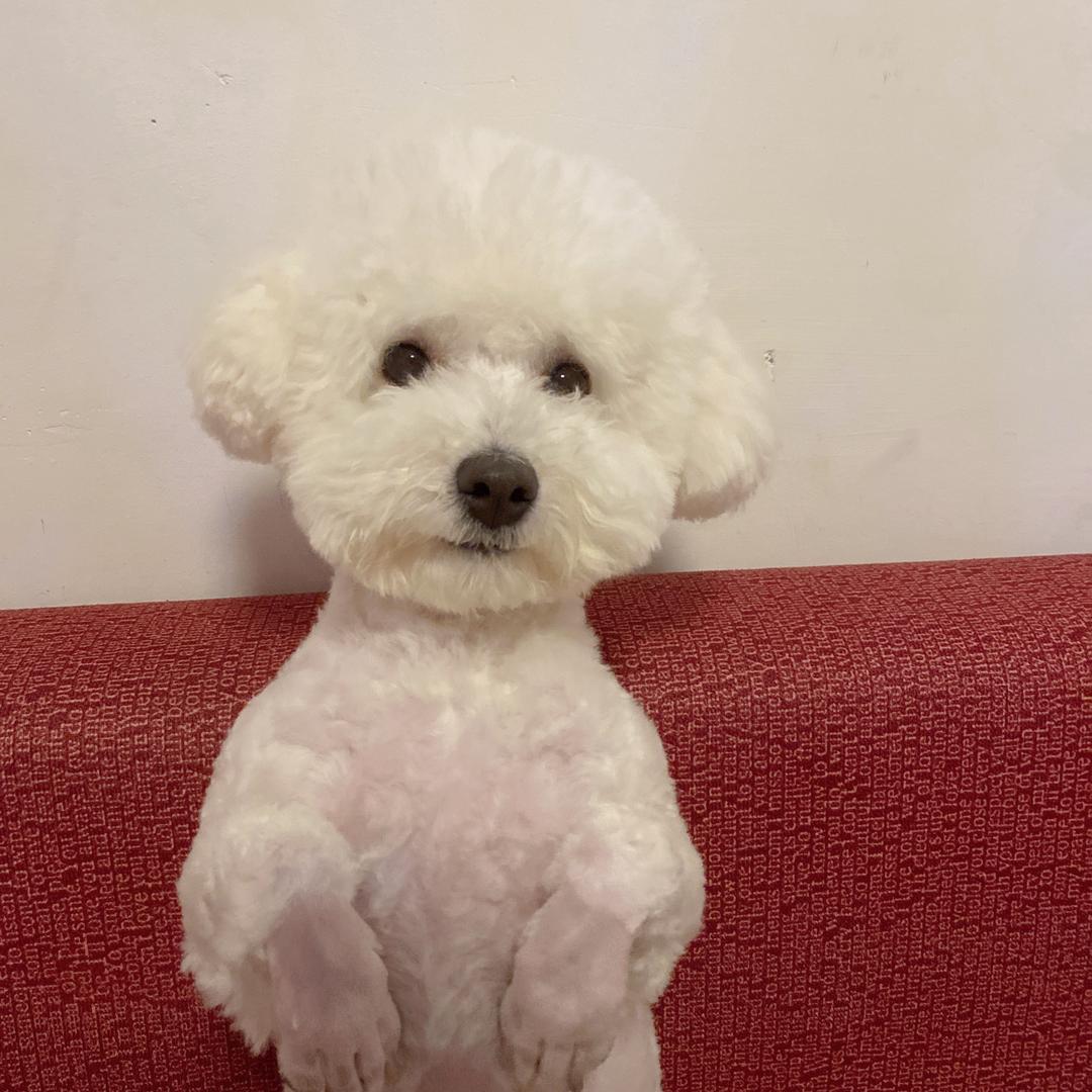 ｕ点小脾气ꪔ̤̮