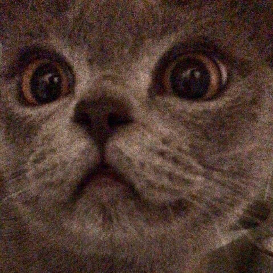 柒