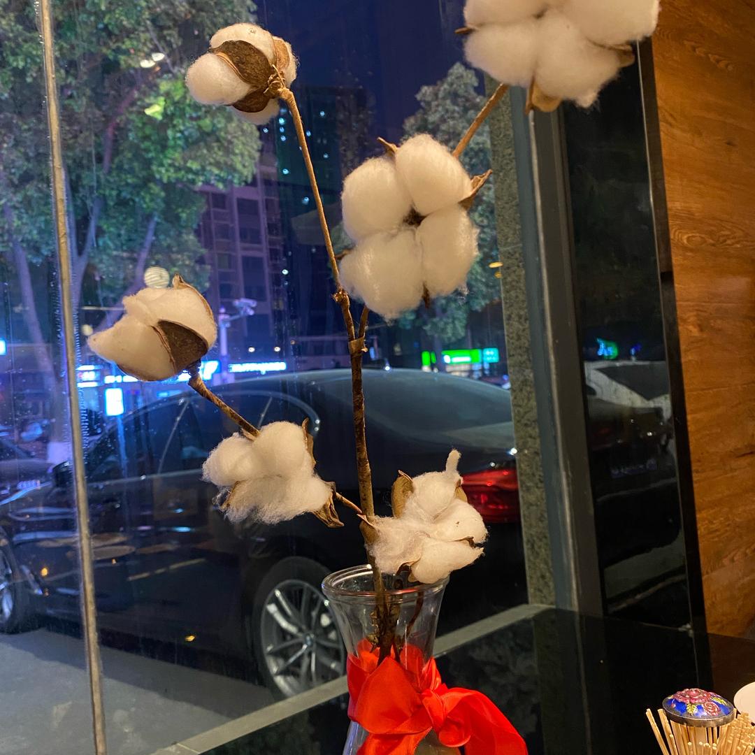 小丑🤡