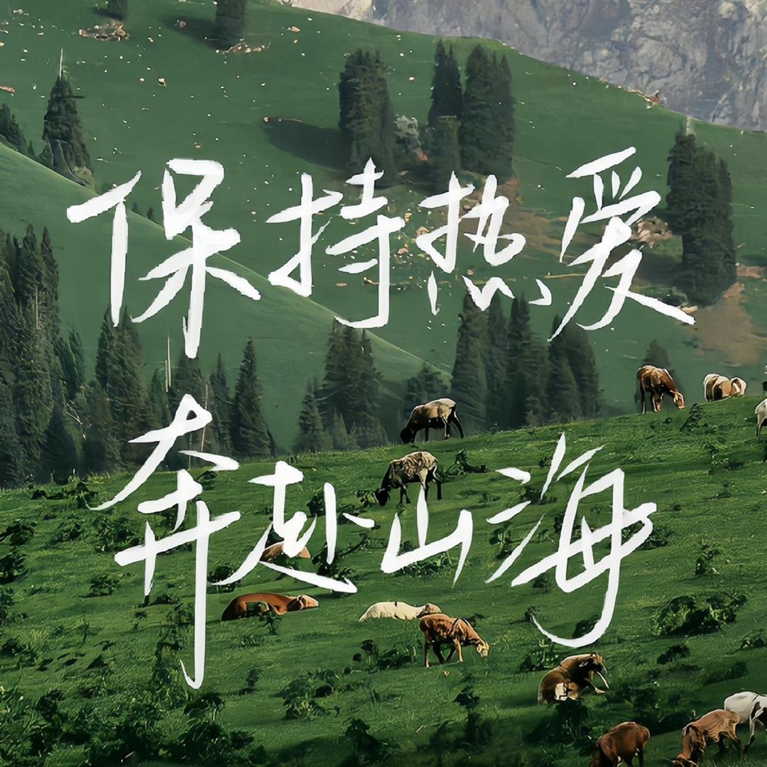 沁炘