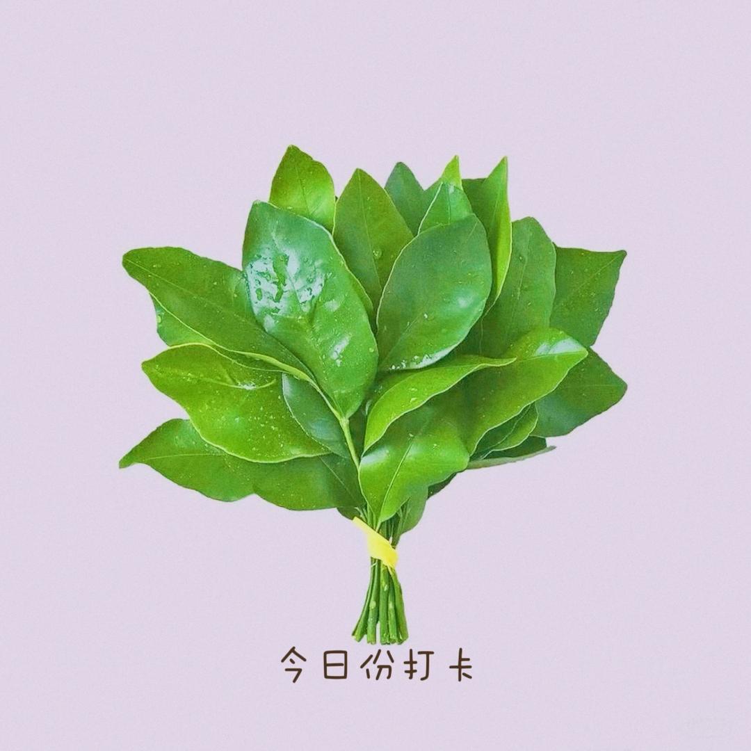 小狐狸🦊小飞侠🦐