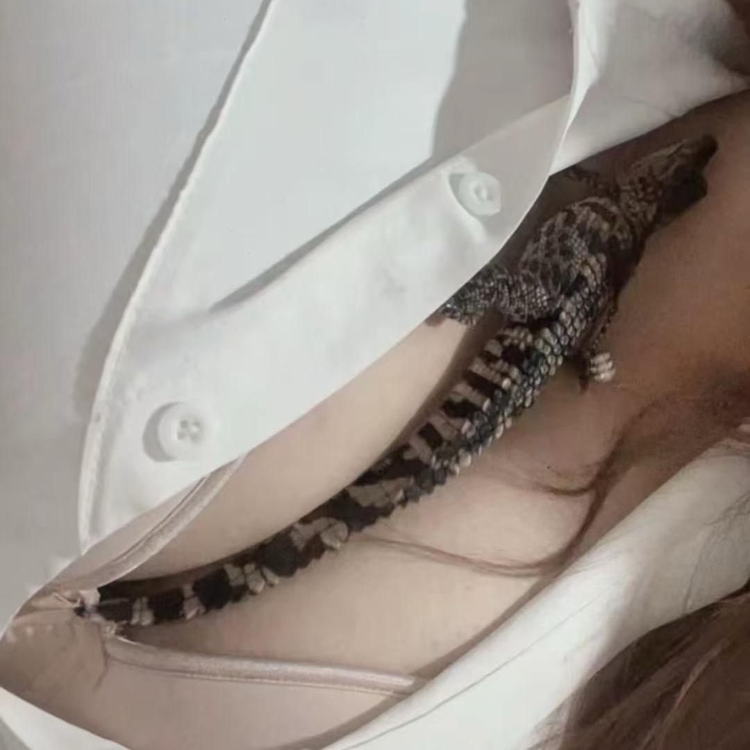 民权🐊商贸行