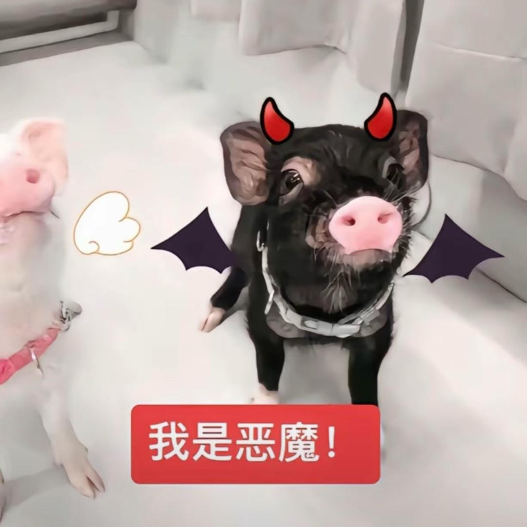 恩靜