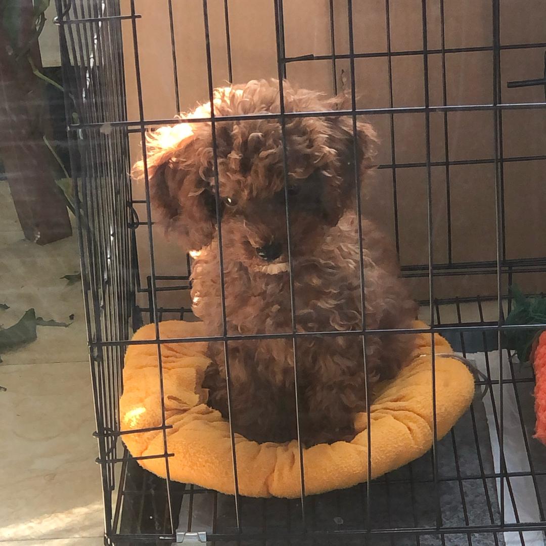 阿伟阿伟.