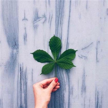 三嫂摆摊记录生活