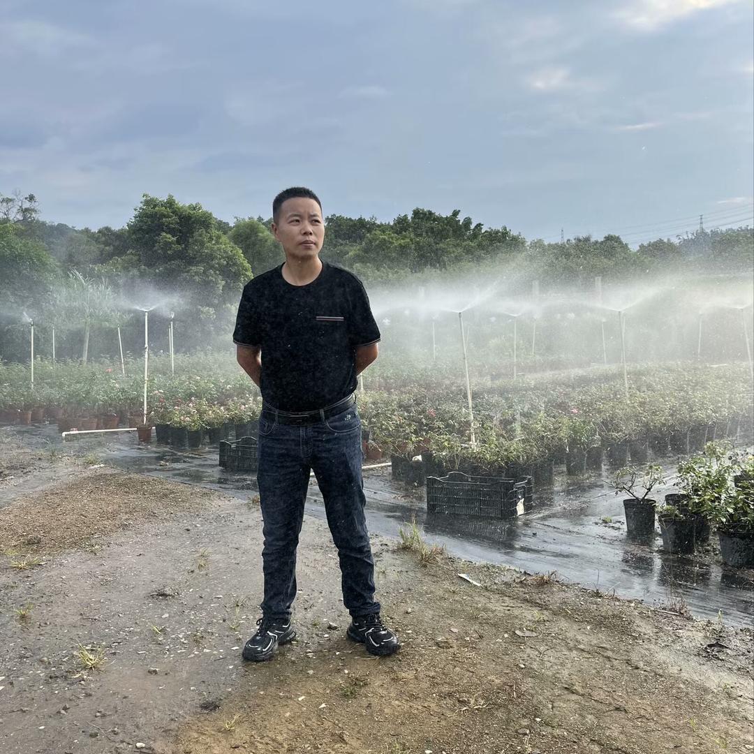 李三头装饰全屋定制一站式
