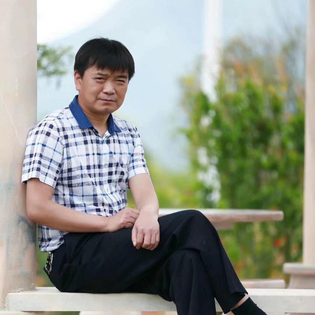 山阳县金桥茶业