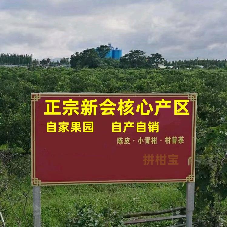 正宗新会陈皮源头工厂自家果园唐姐
