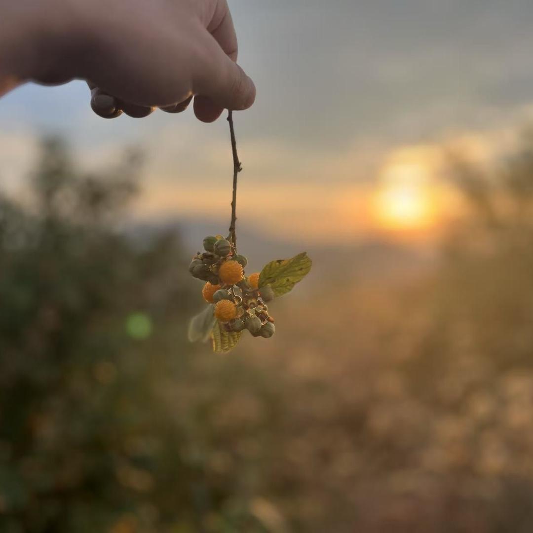 生活好残酷～🐀