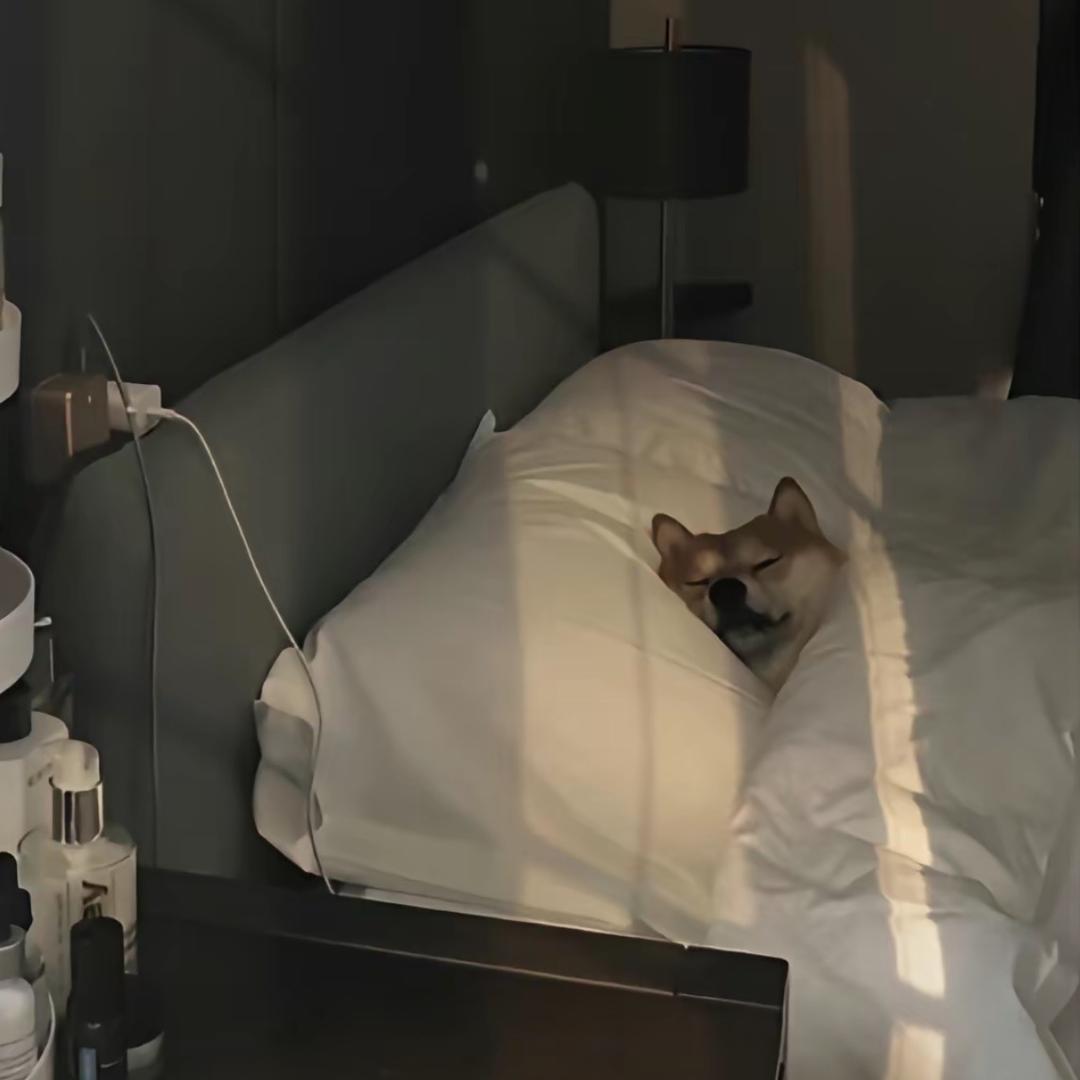 Czzzzz《潮汕英歌舞》