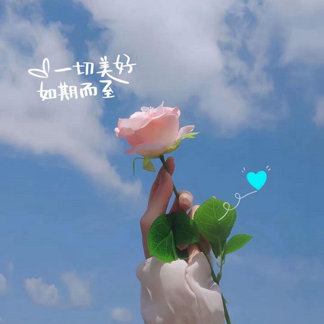 安好🎊