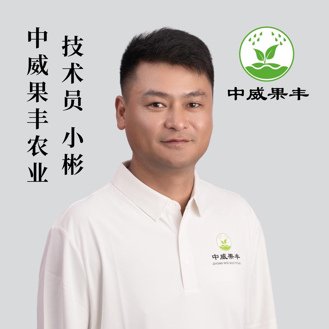 中威果丰-小彬