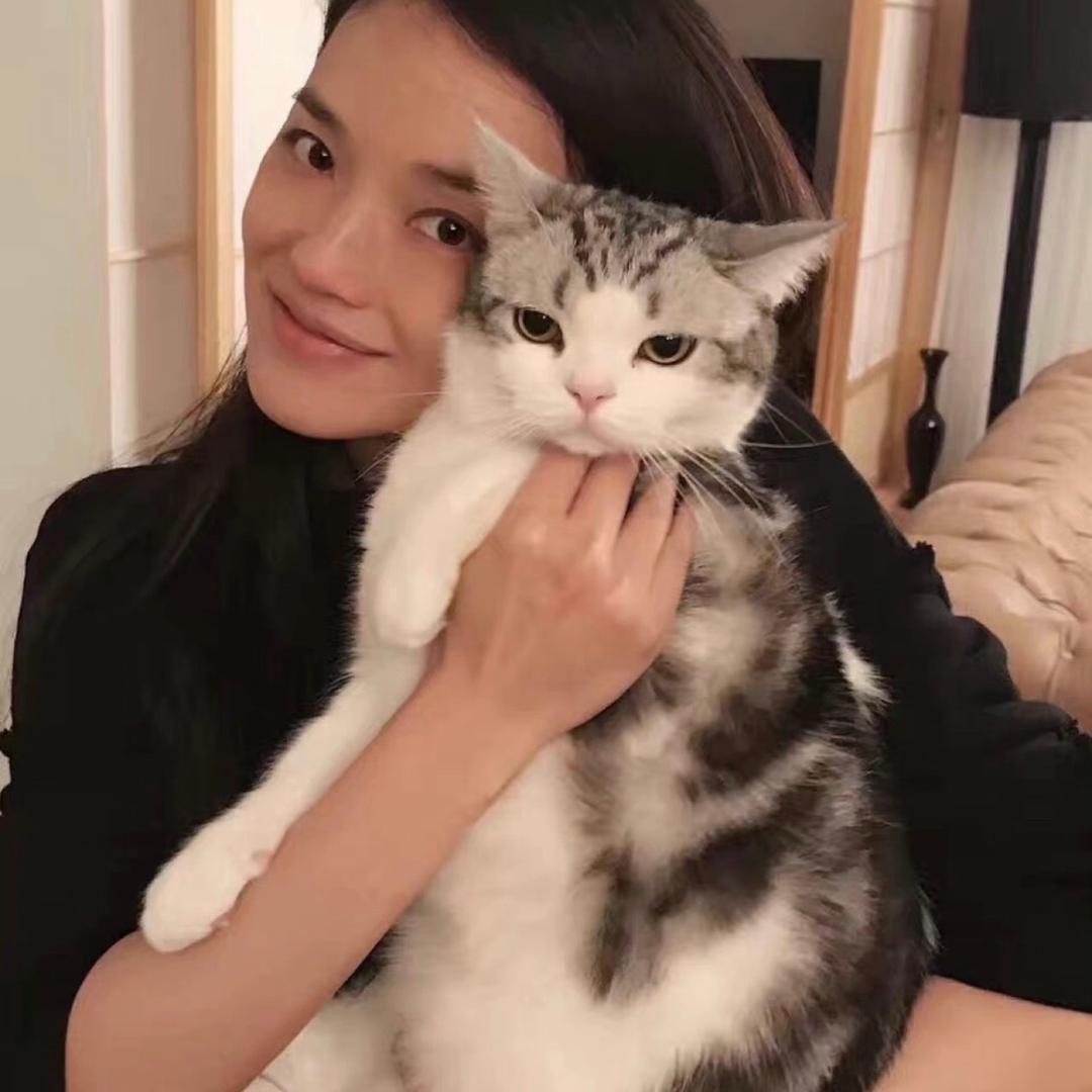 懿