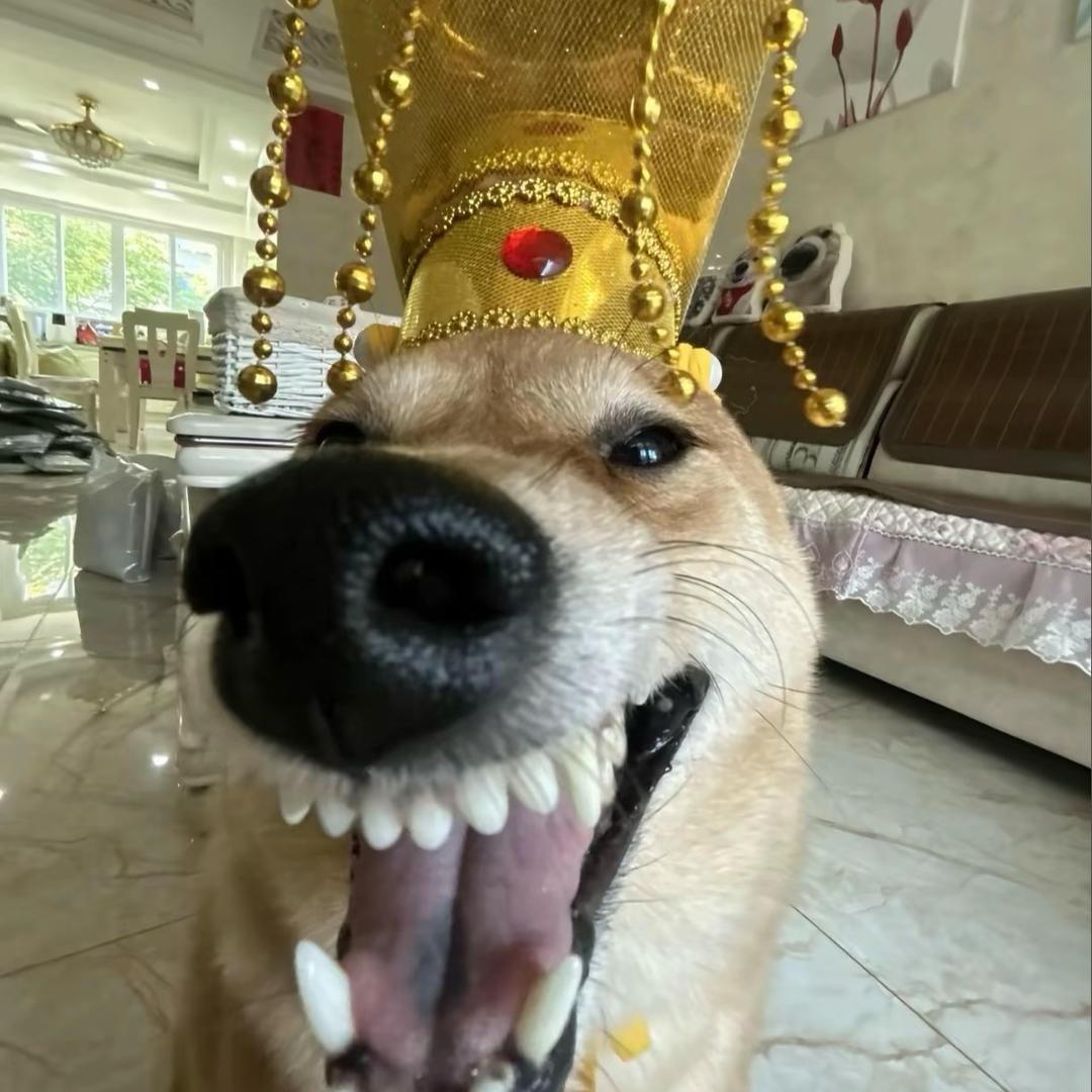 榕寒