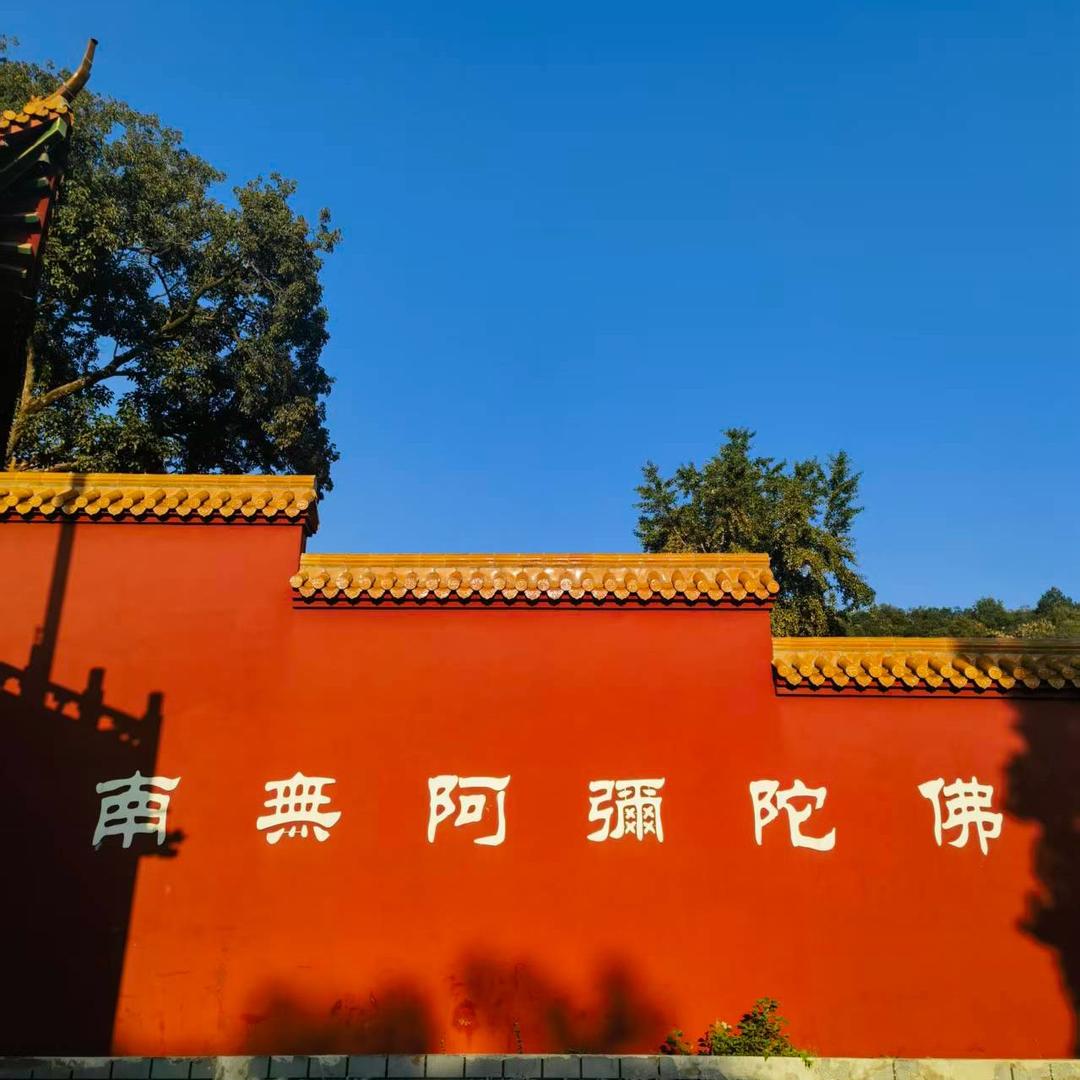 洛书📖头像