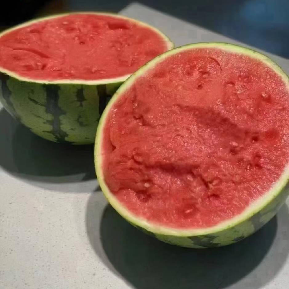 小陈西瓜🍉🍉🍉