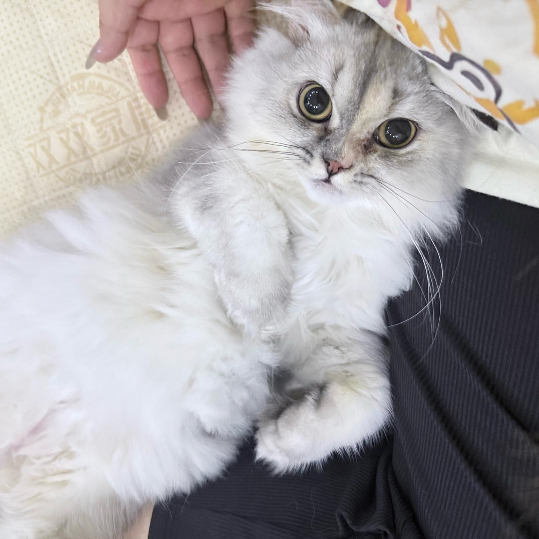 郭勾勾