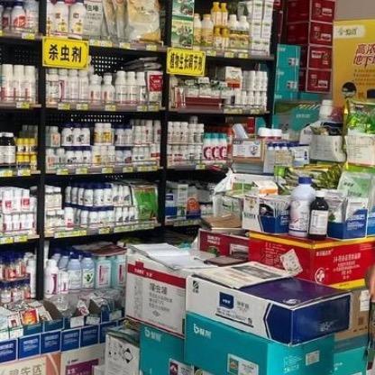 同丰种业韩明福