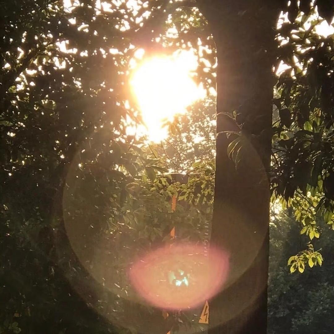 夹心可颂🥐