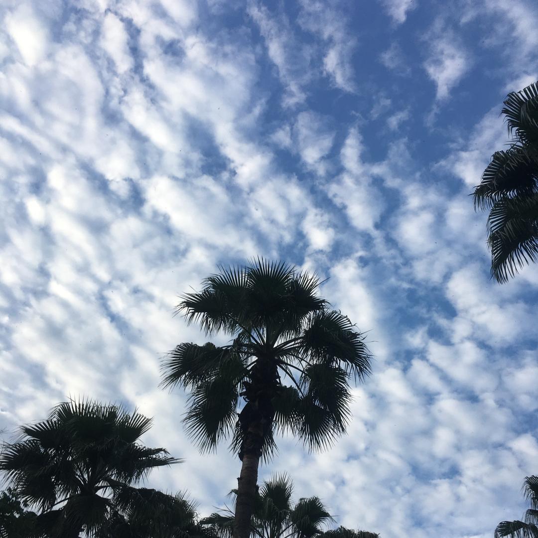 武汉沁越鑫零售