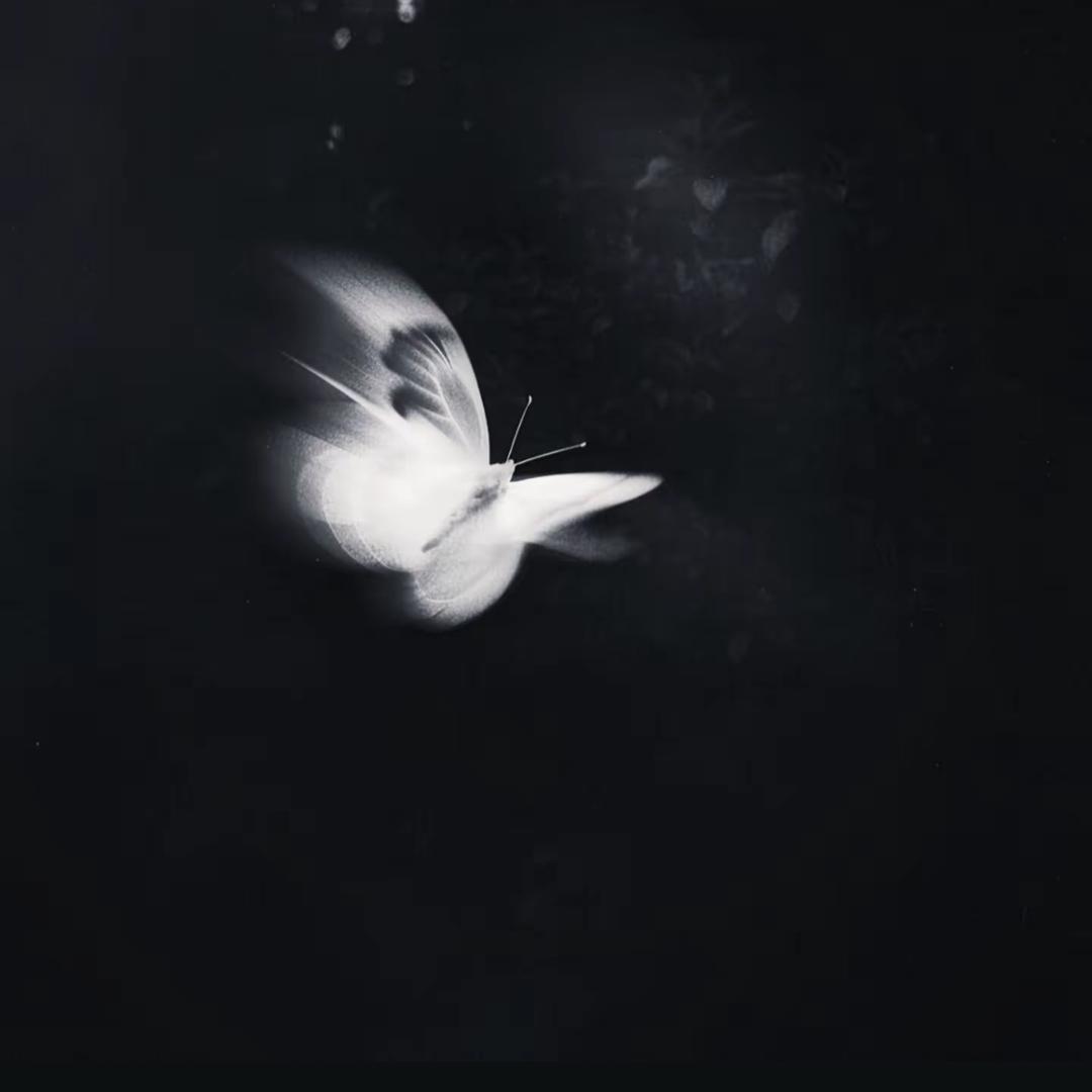 嘿嘿