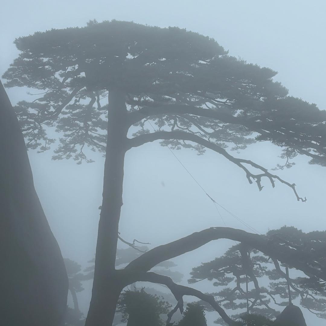 专业回收电线，五金，电子厂废料