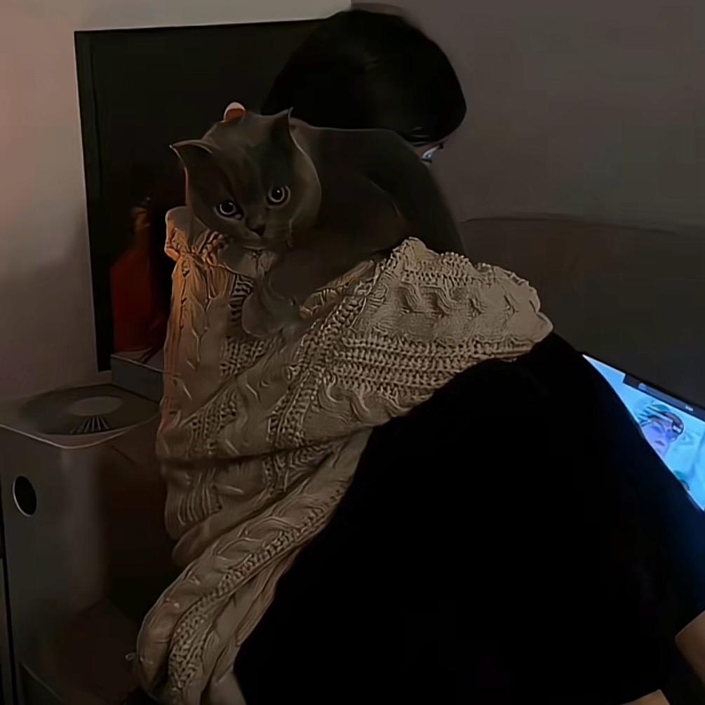 𓊝𓄹何 H·๑e౪ᩚ 🫧