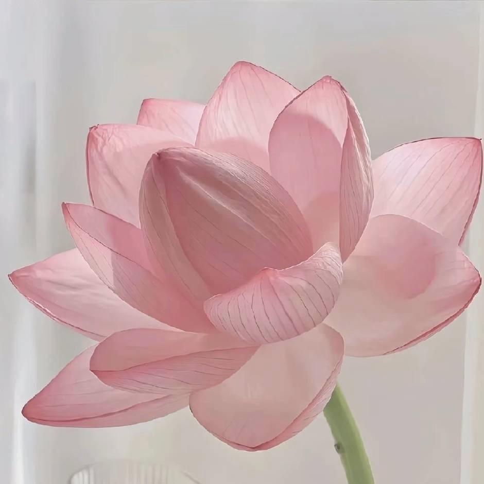 蔡真好吃