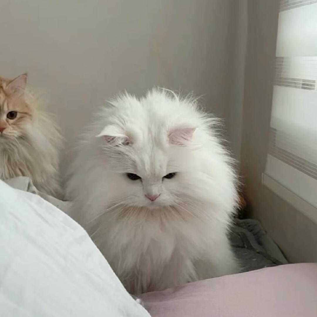 瞓不太飽