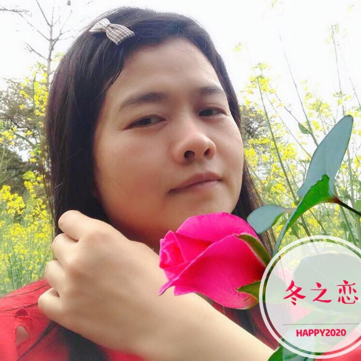 心之太阳