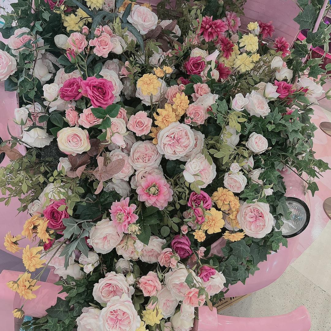 💐💐丫丫🪸🪸