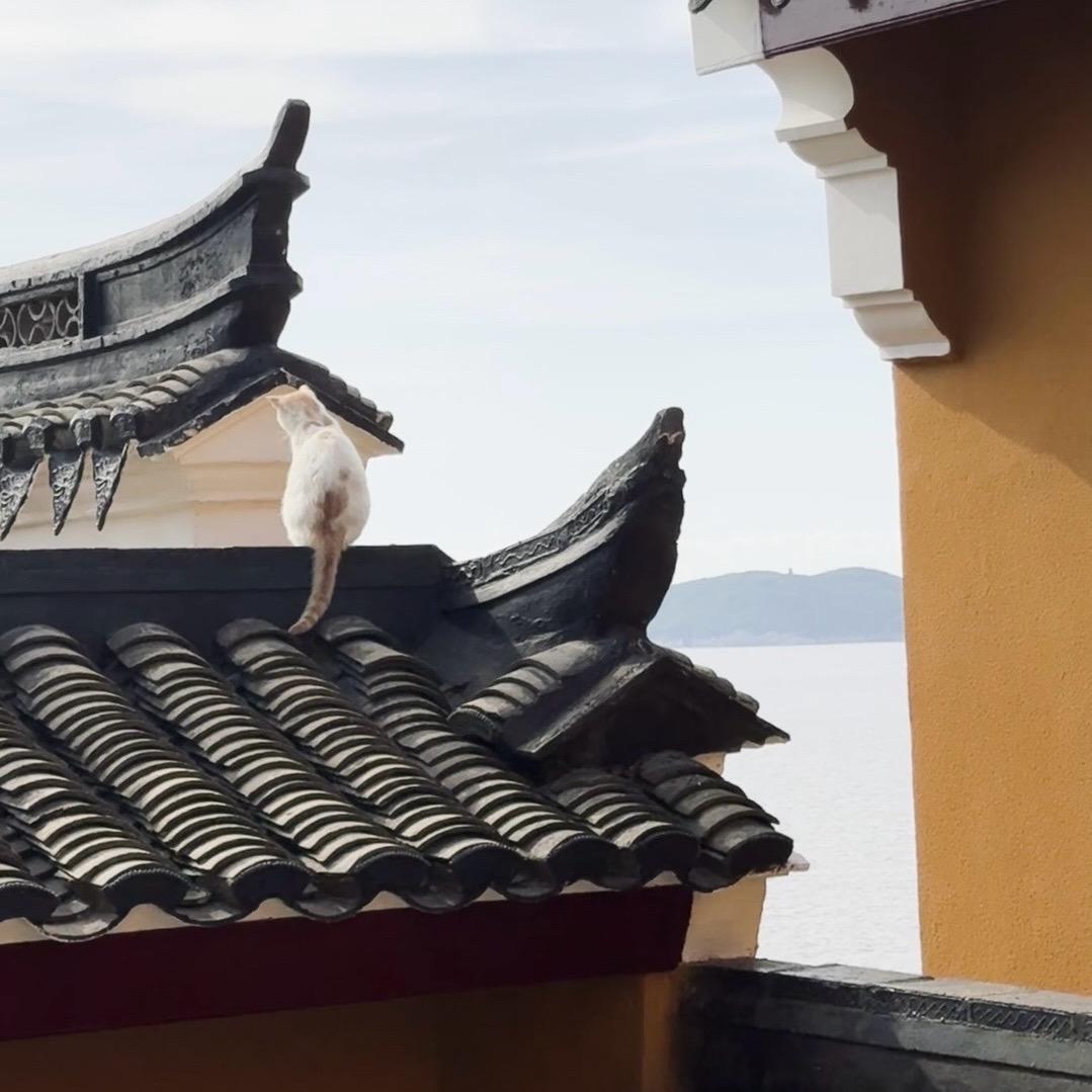 用户16913742208457