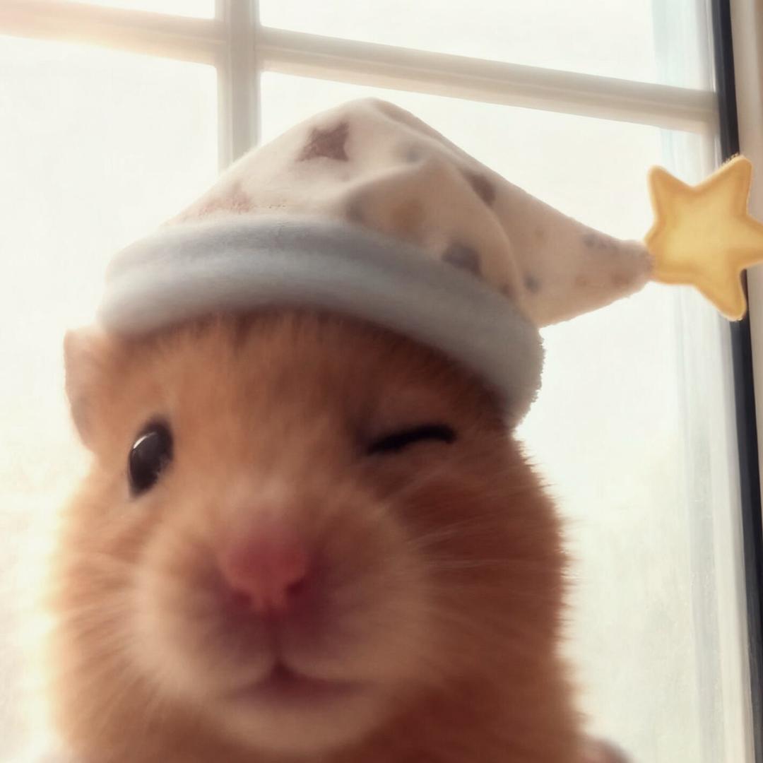 我是一个没有感情的杀手