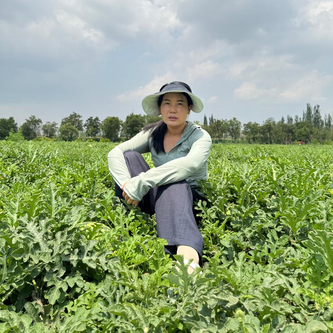 小乔红薯香甜糯