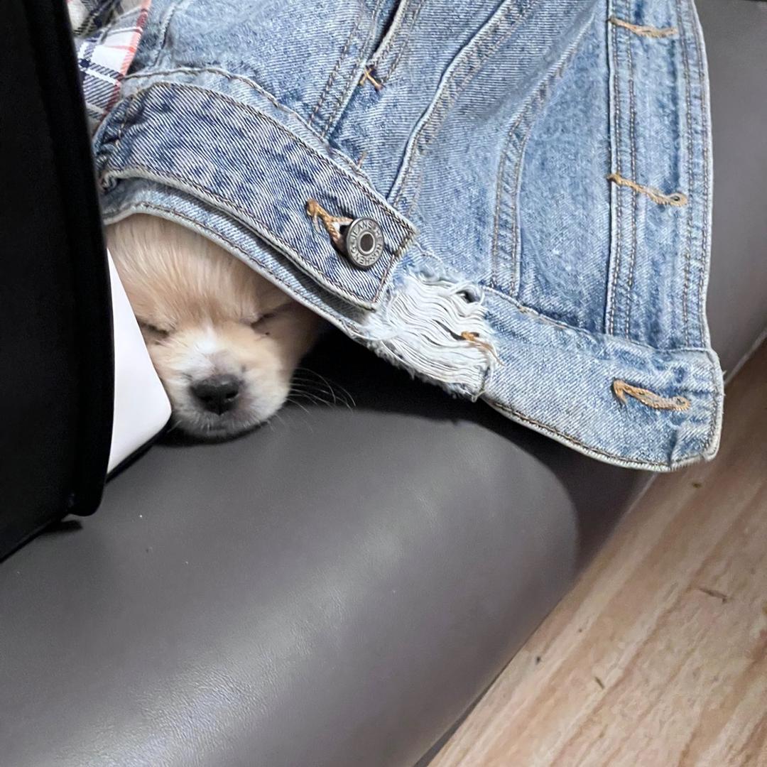 归林