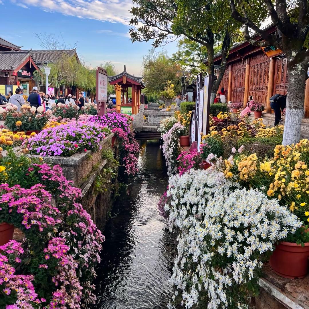 心里的风声🌞